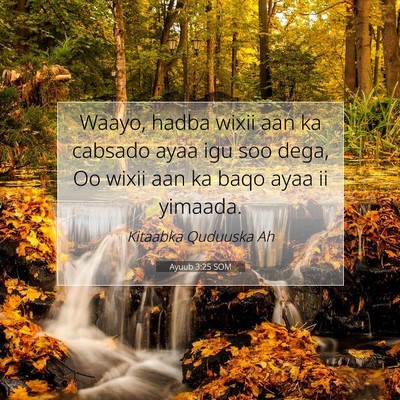 Picture 07 - Ayuub 3:25 SOM - Waayo, hadba wixii aan ka cabsado ayaa igu soo - Bible Verse Picture