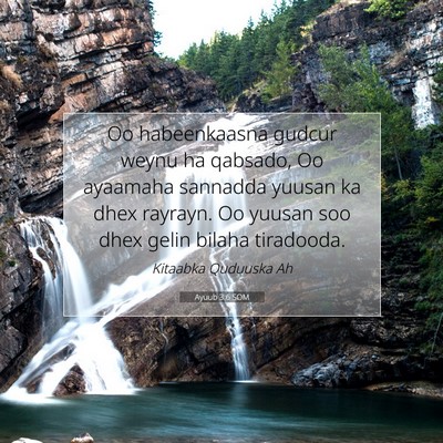 Picture 07 - Ayuub 3:6 SOM - Oo habeenkaasna gudcur weynu ha qabsado, Oo - Bible Verse Picture