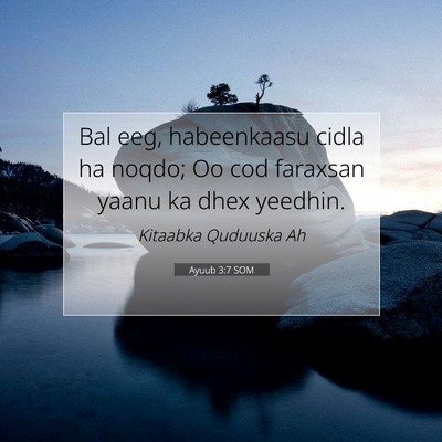 Picture 07 - Ayuub 3:7 SOM - Bal eeg, habeenkaasu cidla ha noqdo; Oo cod - Bible Verse Picture