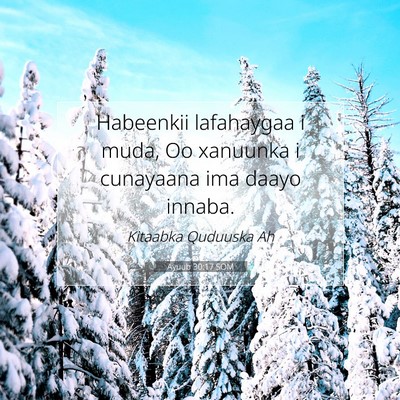 Picture 07 - Ayuub 30:17 SOM - Habeenkii lafahaygaa i muda, Oo xanuunka i - Bible Verse Picture