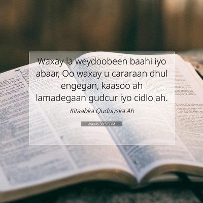 Picture 07 - Ayuub 30:3 SOM - Waxay la weydoobeen baahi iyo abaar, Oo waxay u - Bible Verse Picture