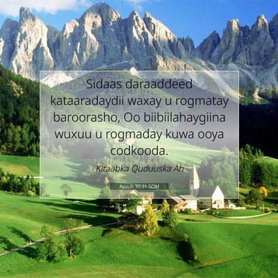 Picture 07 - Ayuub 30:31 SOM - Sidaas daraaddeed kataaradaydii waxay u rogmatay - Bible Verse Picture