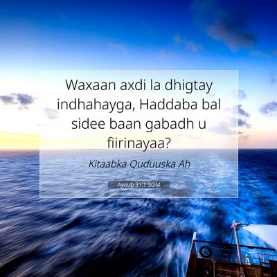 Picture 07 - Ayuub 31:1 SOM - Waxaan axdi la dhigtay indhahayga, Haddaba bal - Bible Verse Picture