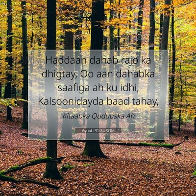 Picture 07 - Ayuub 31:24 SOM - Haddaan dahab rajo ka dhigtay, Oo aan dahabka - Bible Verse Picture