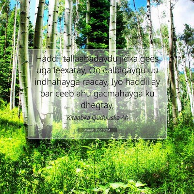Picture 07 - Ayuub 31:7 SOM - Haddii tallaabadaydu jidka gees uga leexatay, Oo - Bible Verse Picture