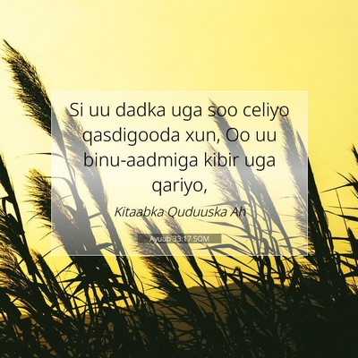 Picture 07 - Ayuub 33:17 SOM - Si uu dadka uga soo celiyo qasdigooda xun, Oo uu - Bible Verse Picture