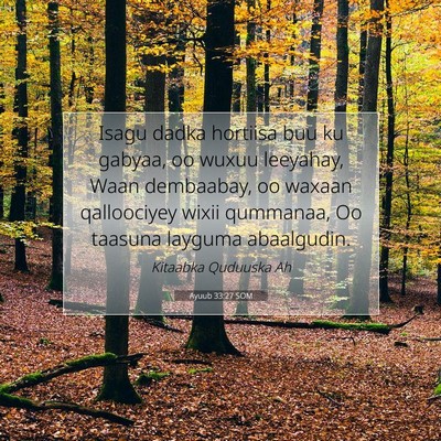 Picture 07 - Ayuub 33:27 SOM - Isagu dadka hortiisa buu ku gabyaa, oo wuxuu - Bible Verse Picture