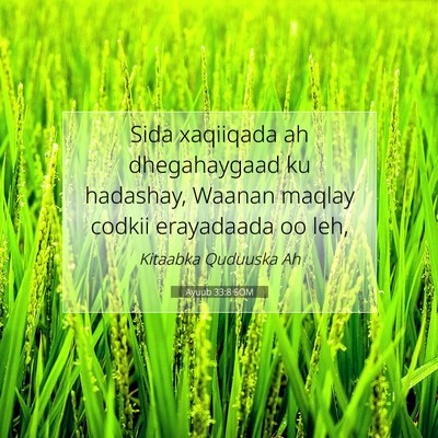 Picture 07 - Ayuub 33:8 SOM - Sida xaqiiqada ah dhegahaygaad ku hadashay, - Bible Verse Picture