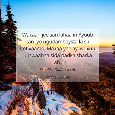 Picture 07 - Ayuub 34:36 SOM - Waxaan jeclaan lahaa in Ayuub tan iyo - Bible Verse Picture