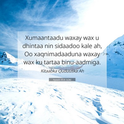 Picture 07 - Ayuub 35:8 SOM - Xumaantaadu waxay wax u dhintaa nin sidaadoo kale - Bible Verse Picture