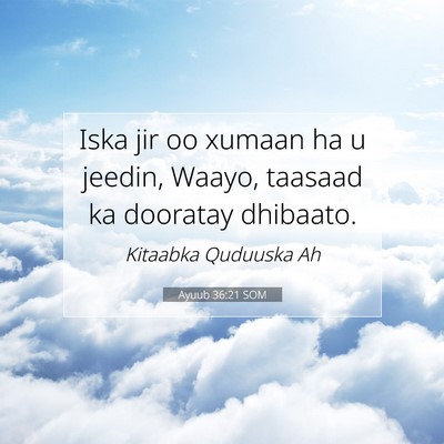 Picture 07 - Ayuub 36:21 SOM - Iska jir oo xumaan ha u jeedin, Waayo, taasaad ka - Bible Verse Picture