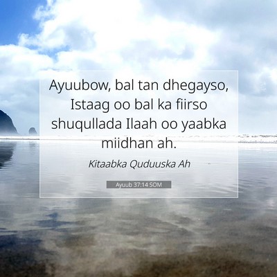 Picture 07 - Ayuub 37:14 SOM - Ayuubow, bal tan dhegayso, Istaag oo bal ka - Bible Verse Picture