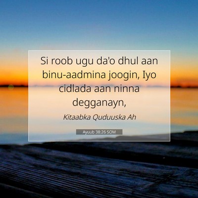 Picture 07 - Ayuub 38:26 SOM - Si roob ugu da'o dhul aan binu-aadmina joogin, - Bible Verse Picture