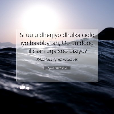 Picture 07 - Ayuub 38:27 SOM - Si uu u dherjiyo dhulka cidlo iyo baabba' ah, Oo - Bible Verse Picture