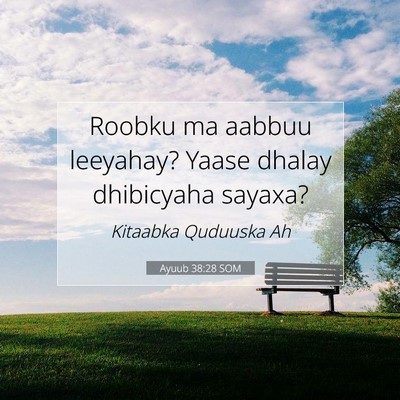Picture 07 - Ayuub 38:28 SOM - Roobku ma aabbuu leeyahay? Yaase dhalay - Bible Verse Picture