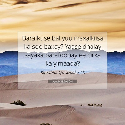 Picture 07 - Ayuub 38:29 SOM - Barafkuse bal yuu maxalkiisa ka soo baxay? Yaase - Bible Verse Picture
