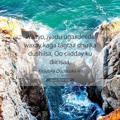 Picture 07 - Ayuub 39:14 SOM - Waayo, iyadu ugaxdeeda waxay kaga tagtaa dhulka - Bible Verse Picture
