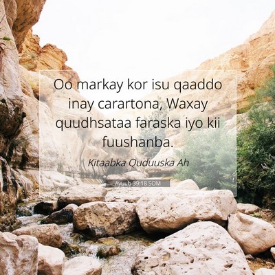 Picture 07 - Ayuub 39:18 SOM - Oo markay kor isu qaaddo inay carartona, Waxay - Bible Verse Picture