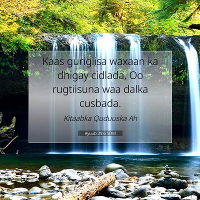 Picture 07 - Ayuub 39:6 SOM - Kaas gurigiisa waxaan ka dhigay cidlada, Oo - Bible Verse Picture