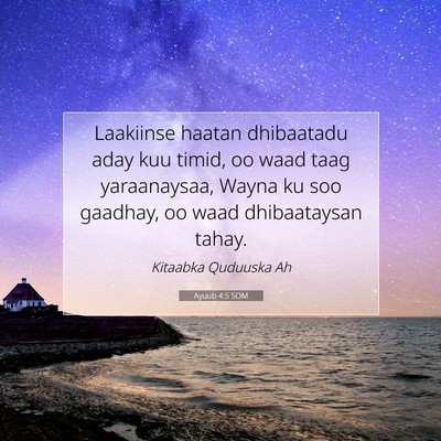 Picture 07 - Ayuub 4:5 SOM - Laakiinse haatan dhibaatadu aday kuu timid, oo - Bible Verse Picture