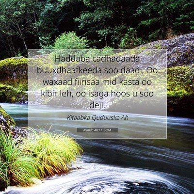Picture 07 - Ayuub 40:11 SOM - Haddaba cadhadaada buuxdhaafkeeda soo daadi, Oo - Bible Verse Picture