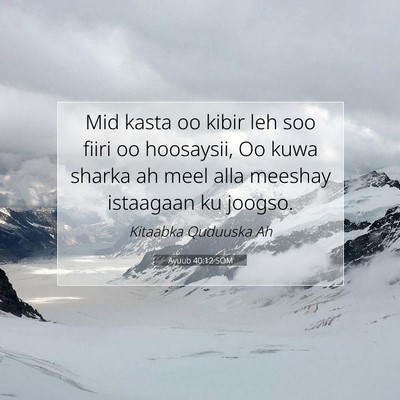 Picture 07 - Ayuub 40:12 SOM - Mid kasta oo kibir leh soo fiiri oo hoosaysii, Oo - Bible Verse Picture