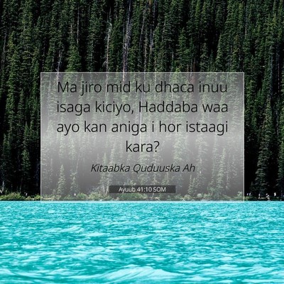 Picture 07 - Ayuub 41:10 SOM - Ma jiro mid ku dhaca inuu isaga kiciyo, Haddaba - Bible Verse Picture