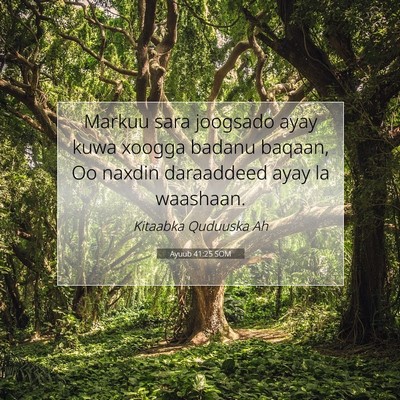 Picture 07 - Ayuub 41:25 SOM - Markuu sara joogsado ayay kuwa xoogga badanu - Bible Verse Picture