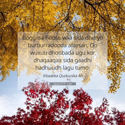 Picture 07 - Ayuub 41:30 SOM - Boggiisa hoose waa sida dheryo burburradooda - Bible Verse Picture
