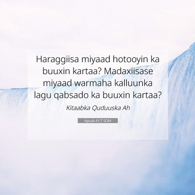 Picture 07 - Ayuub 41:7 SOM - Haraggiisa miyaad hotooyin ka buuxin kartaa? - Bible Verse Picture