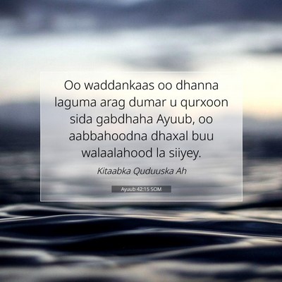 Picture 07 - Ayuub 42:15 SOM - Oo waddankaas oo dhanna laguma arag dumar u - Bible Verse Picture