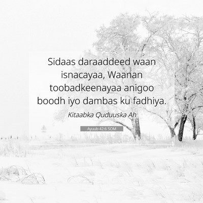 Picture 07 - Ayuub 42:6 SOM - Sidaas daraaddeed waan isnacayaa, Waanan - Bible Verse Picture