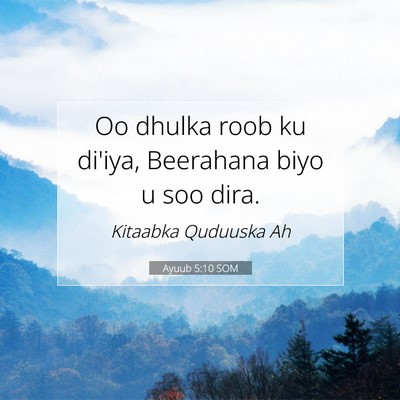 Picture 07 - Ayuub 5:10 SOM - Oo dhulka roob ku di'iya, Beerahana biyo u soo - Bible Verse Picture