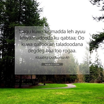 Picture 07 - Ayuub 5:13 SOM - Isagu kuwa xigmadda leh ayuu khiyaanadooda ku - Bible Verse Picture