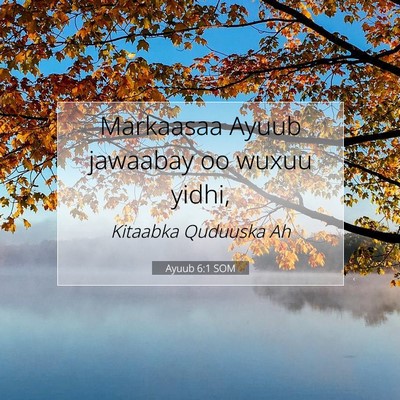 Picture 07 - Ayuub 6:1 SOM - Markaasaa Ayuub jawaabay oo wuxuu - Bible Verse Picture
