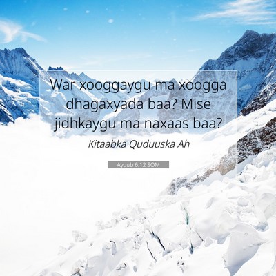 Picture 07 - Ayuub 6:12 SOM - War xooggaygu ma xoogga dhagaxyada baa? Mise - Bible Verse Picture