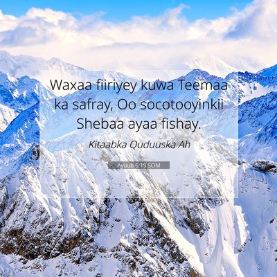 Picture 07 - Ayuub 6:19 SOM - Waxaa fiiriyey kuwa Teemaa ka safray, Oo - Bible Verse Picture