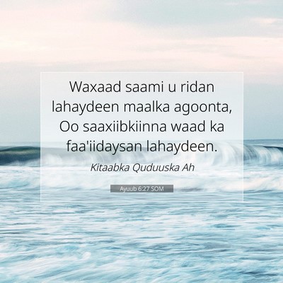 Picture 07 - Ayuub 6:27 SOM - Waxaad saami u ridan lahaydeen maalka agoonta, Oo - Bible Verse Picture
