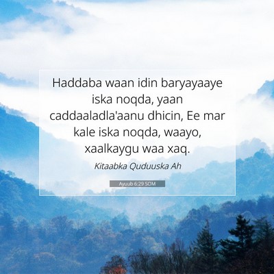 Picture 07 - Ayuub 6:29 SOM - Haddaba waan idin baryayaaye iska noqda, yaan - Bible Verse Picture