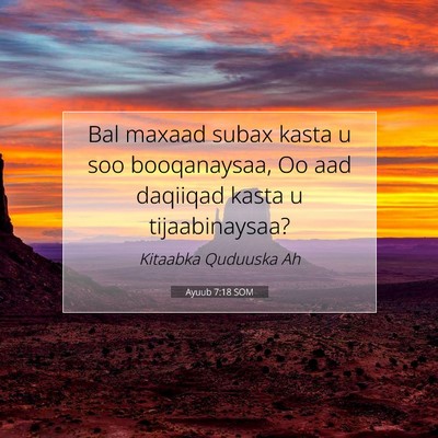 Picture 07 - Ayuub 7:18 SOM - Bal maxaad subax kasta u soo booqanaysaa, Oo aad - Bible Verse Picture