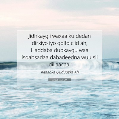 Picture 07 - Ayuub 7:5 SOM - Jidhkaygii waxaa ku dedan dirxiyo iyo qolfo ciid - Bible Verse Picture