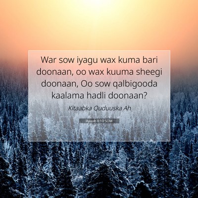 Picture 07 - Ayuub 8:10 SOM - War sow iyagu wax kuma bari doonaan, oo wax kuuma - Bible Verse Picture