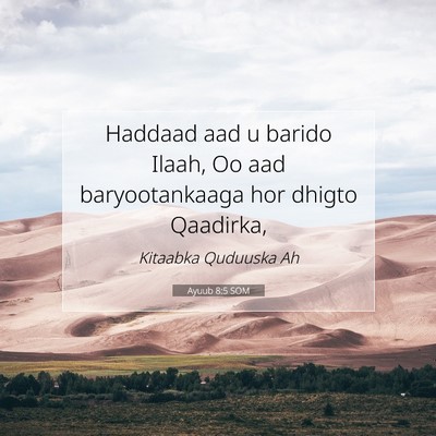Picture 07 - Ayuub 8:5 SOM - Haddaad aad u barido Ilaah, Oo aad baryootankaaga - Bible Verse Picture
