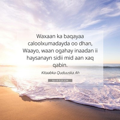 Picture 07 - Ayuub 9:28 SOM - Waxaan ka baqayaa caloolxumadayda oo dhan, Waayo, - Bible Verse Picture