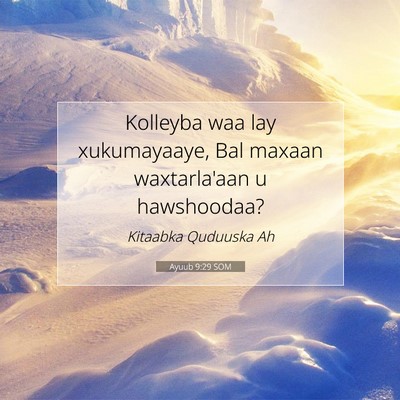Picture 07 - Ayuub 9:29 SOM - Kolleyba waa lay xukumayaaye, Bal maxaan - Bible Verse Picture