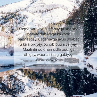 Picture 07 - Baroorashadii Yeremyaah 1:13 SOM - Xagga sare ayuu lafahayga uga soo daayay dab - Bible Verse Picture
