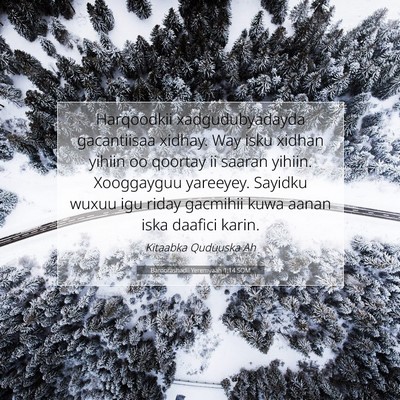 Picture 07 - Baroorashadii Yeremyaah 1:14 SOM - Harqoodkii xadgudubyadayda gacantiisaa xidhay. - Bible Verse Picture