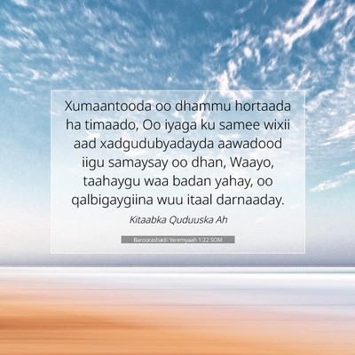 Picture 07 - Baroorashadii Yeremyaah 1:22 SOM - Xumaantooda oo dhammu hortaada ha timaado, Oo - Bible Verse Picture