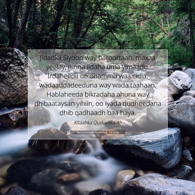Picture 07 - Baroorashadii Yeremyaah 1:4 SOM - Jidadkii Siyoon way baroortaan, maxaa yeelay, - Bible Verse Picture