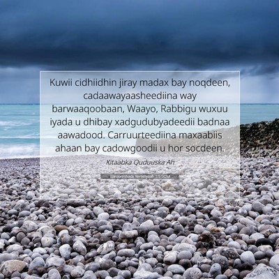 Picture 07 - Baroorashadii Yeremyaah 1:5 SOM - Kuwii cidhiidhin jiray madax bay noqdeen, - Bible Verse Picture